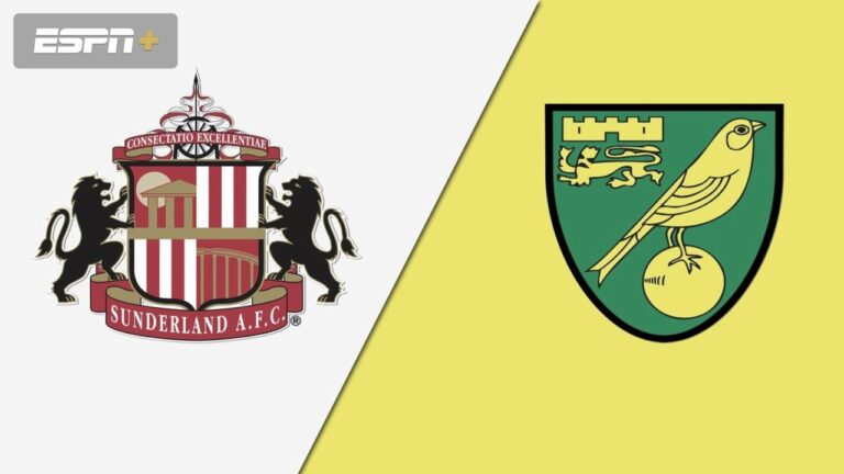 norwich city vs sunderland a.f.c. standings