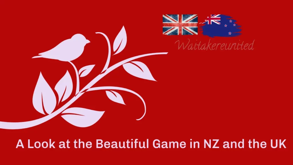 Football Fever: A Look at the Beautiful Game in NZ and the UK
